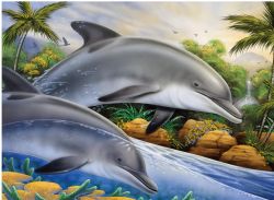 PEINTURE À NUMÉROS ADULTE LARGE - ÎLE DE DAUPHINS